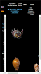 Mobile Screenshot of conchylien.de